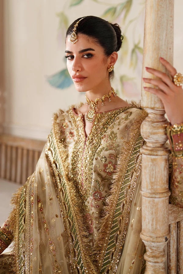 EMBROIDERED NET BAROUQE pakistani fashion outfit with coordinated…